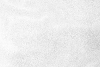Beyaz, temiz yün dokusu arka planda. hafif doğal koyun yünü. Beyaz, pürüzsüz pamuk. Tasarımcılar için tüylü kürk dokusu. yakın plan beyaz yün halı..