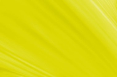 Abstract Background on isolated. Abstract yellow pattern textured . White line background concept. There is space for text.	
