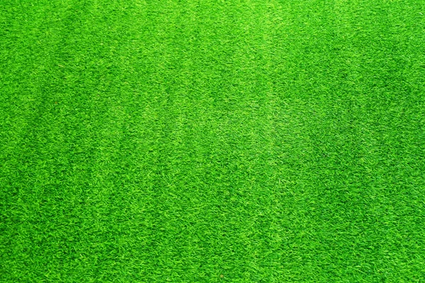 Green Grass Texture Background Grass Garden Concept Used Making Green — 스톡 사진