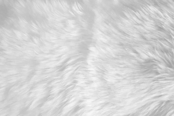 White Clean Wool Texture Background Soft Mink Light Natural Sheep — Stockfoto