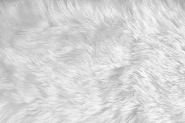 White Clean Wool Texture Background Soft Mink Light Natural Sheep — Fotografia de Stock