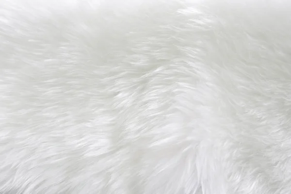 White Clean Wool Texture Background Soft Mink Light Natural Sheep — 图库照片