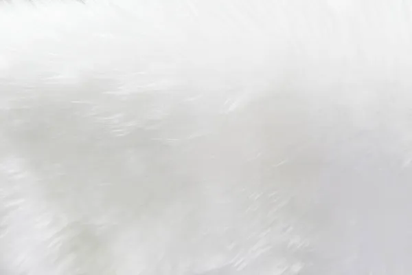 White Clean Wool Texture Background Soft Mink Light Natural Sheep —  Fotos de Stock