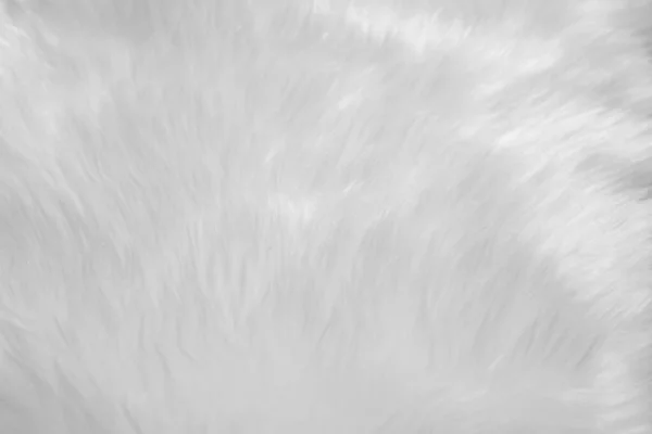 Blanc Laine Propre Texture Fond Vison Doux Laine Mouton Naturelle — Photo