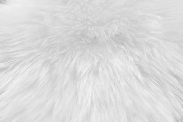 Witte Schone Wol Textuur Achtergrond Zachte Nerts Lichte Natuurlijke Schapenwol — Stockfoto