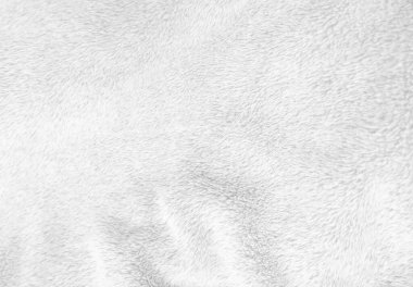 White clean wool texture background. light natural sheep wool. white seamless cotton. texture of fluffy fur for designers. close-up fragment white wool carpet.	