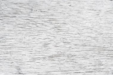 Eski ahşap çatallı, gri-beyaz tonlu. Duvar kağıdı veya arkaplan resmi için bunu kullanın. Metin için boş bir boşluk var