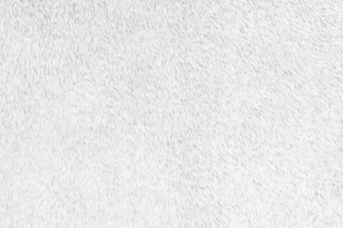White clean wool texture background. light natural sheep wool. white seamless cotton. texture of fluffy fur for designers. close-up fragment white wool carpet.	