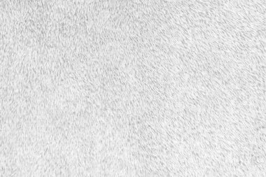 White clean wool texture background. light natural sheep wool. white seamless cotton. texture of fluffy fur for designers. close-up fragment white wool carpet.	