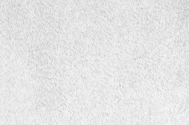 White clean wool texture background. light natural sheep wool. white seamless cotton. texture of fluffy fur for designers. close-up fragment white wool carpet.	