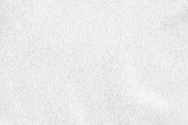 White clean wool texture background. light natural sheep wool. white seamless cotton. texture of fluffy fur for designers. close-up fragment white wool carpet.	