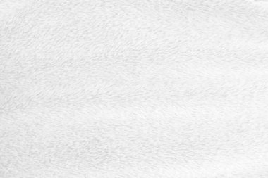 White clean wool texture background. light natural sheep wool. white seamless cotton. texture of fluffy fur for designers. close-up fragment white wool carpet.	