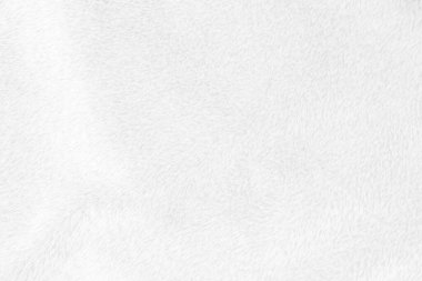White clean wool texture background. light natural sheep wool. white seamless cotton. texture of fluffy fur for designers. close-up fragment white wool carpet.	