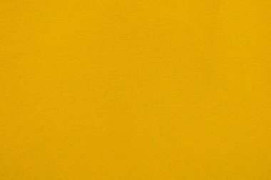 Dark yellow velvet fabric texture used as background. Empty dark yellow fabric background of soft and smooth textile material. There is space for text.	