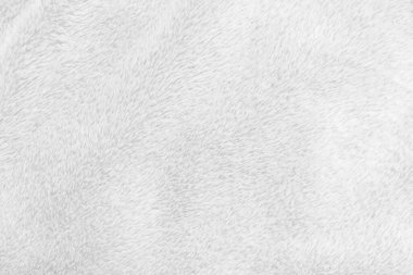 White clean wool texture background. light natural sheep wool. white seamless cotton. texture of fluffy fur for designers. close-up fragment white wool carpet.	