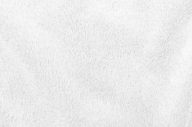 White clean wool texture background. light natural sheep wool. white seamless cotton. texture of fluffy fur for designers. close-up fragment white wool carpet.	