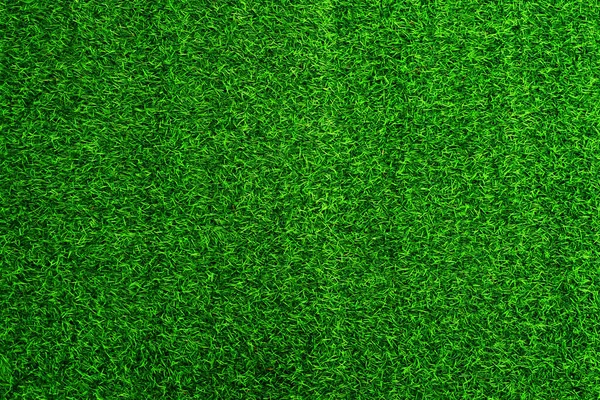 Verde Hierba Textura Fondo Hierba Jardín Concepto Utilizado Para Hacer — Foto de Stock