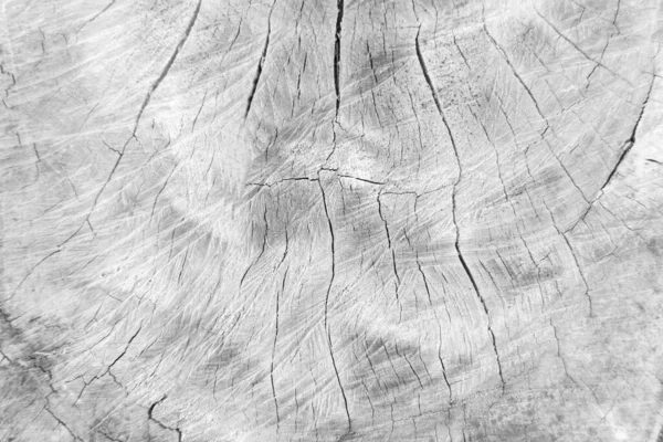 Vieille Fissure Texture Bois Ton Gris Blanc Utilisez Pour Papier — Photo