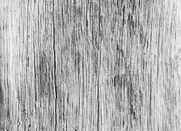 Old Wood Texture Background Crack Gray White Tone Use Wallpaper — Zdjęcie stockowe