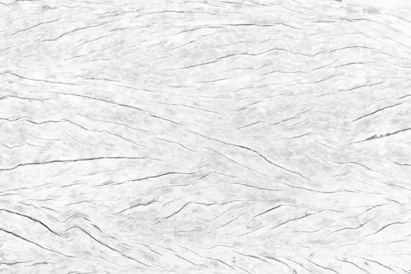 Old Wood Texture Background Crack Gray White Tone Use Wallpaper — Stock Photo, Image