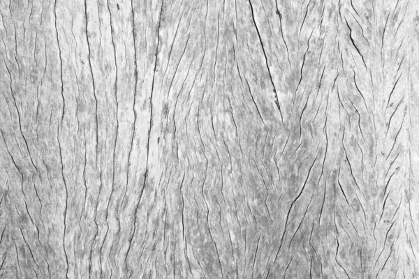 Old Wood Texture Background Crack Gray White Tone Use Wallpaper — Stockfoto