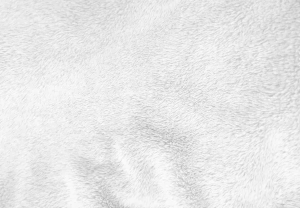 White Clean Wool Texture Background Light Natural Sheep Wool White — 图库照片