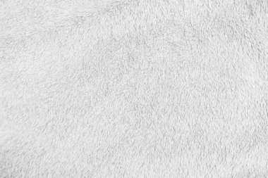 White clean wool texture background. light natural sheep wool. white seamless cotton. texture of fluffy fur for designers. close-up fragment white wool carpet.	