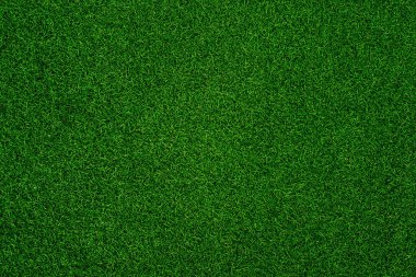 Yeşil çimen dokusu arka plan çimen bahçe konsepti yeşil arka plan futbol sahası, çim golf, yeşil çimen desenli arka plan