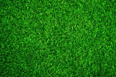 Green grass texture background grass garden concept used for making green background football pitch, Grass Golf, green lawn pattern textured background.	
