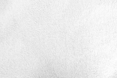 White clean wool texture background. light natural sheep wool. white seamless cotton. texture of fluffy fur for designers. close-up fragment white wool carpet.	
