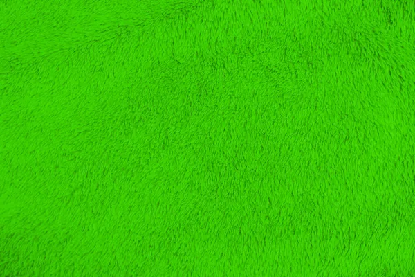 Lime Green Clean Wool Texture Background Light Natural Sheep Wool — стоковое фото