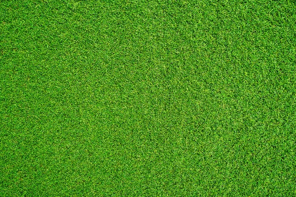 Verde Hierba Textura Fondo Hierba Jardín Concepto Utilizado Para Hacer —  Fotos de Stock