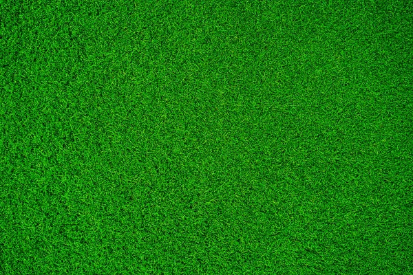 Verde Hierba Textura Fondo Hierba Jardín Concepto Utilizado Para Hacer —  Fotos de Stock
