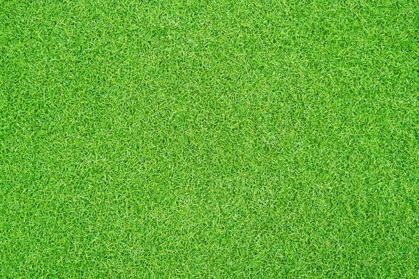 Green Grass Texture Background Grass Garden Concept Used Making Green — Stock Photo, Image