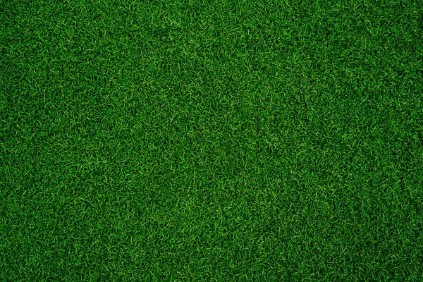 Groene Gras Textuur Achtergrond Gras Tuin Concept Gebruikt Voor Het — Stockfoto