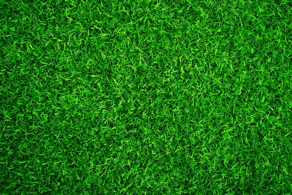 Green Grass Texture Background Grass Garden Concept Used Making Green — Stock Fotó