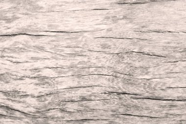 Old wood texture crack, gray-white warming tone. Use this for wallpaper or background image. There is a blank space for text.	