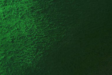 Seamless texture of painted green cement old wall a rough surface, with space for text, for a background.	