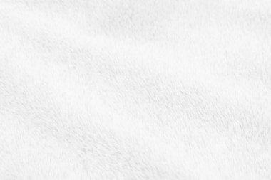 White clean wool texture background. light natural sheep wool. white seamless cotton. texture of fluffy fur for designers. close-up fragment white wool carpet.	