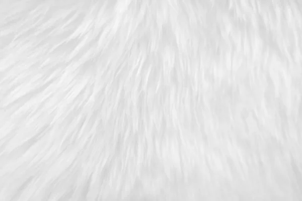 White Clean Wool Texture Background Light Natural Sheep Wool White — Zdjęcie stockowe