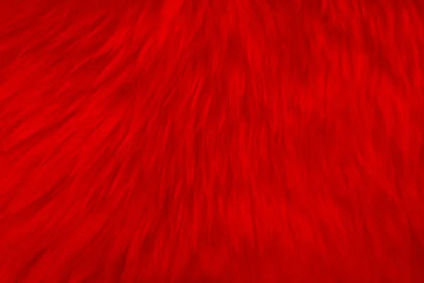 Red Clean Wool Texture Background Light Natural Sheep Wool Red — Stock Photo, Image