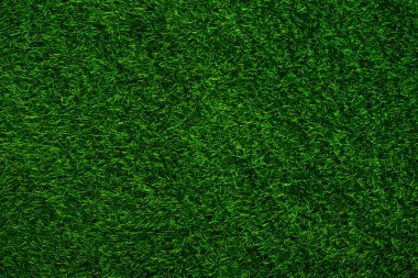 Green grass texture background grass garden concept used for making green background football pitch, Grass Golf, green lawn pattern textured background.	