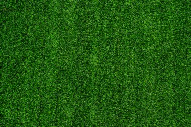 Green grass texture background grass garden concept used for making green background football pitch, Grass Golf, green lawn pattern textured background.	