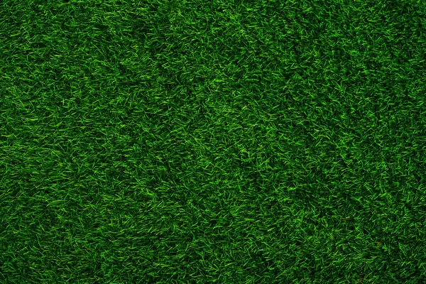 Green Grass Texture Background Grass Garden Concept Used Making Green — Stockfoto