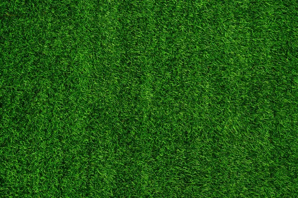 Green Grass Texture Background Grass Garden Concept Used Making Green — Foto Stock