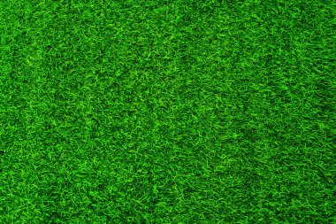 Green grass texture background grass garden concept used for making green background football pitch, Grass Golf, green lawn pattern textured background.	