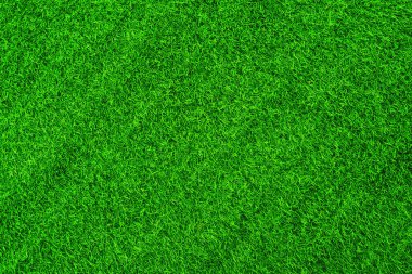 Green grass texture background grass garden concept used for making green background football pitch, Grass Golf, green lawn pattern textured background.	