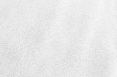 Beyaz, temiz yün dokusu arka planda. hafif doğal koyun yünü. Beyaz, pürüzsüz pamuk. Tasarımcılar için tüylü kürk dokusu. yakın plan beyaz yün halı.