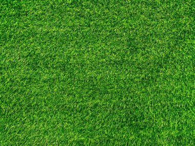 Yeşil çimen dokusu arka plan çimen bahçe konsepti yeşil arka plan futbol sahası, çim golf, yeşil çimen desenli arka plan