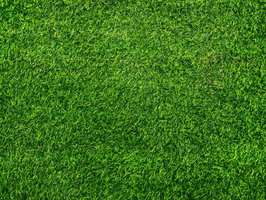 Yeşil çimen dokusu arka plan çimen bahçe konsepti yeşil arka plan futbol sahası, çim golf, yeşil çimen desenli arka plan